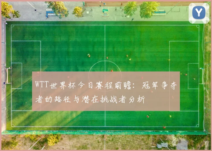 WTT世界杯今日赛程前瞻:冠军争夺者的路径与潜在挑战者分析