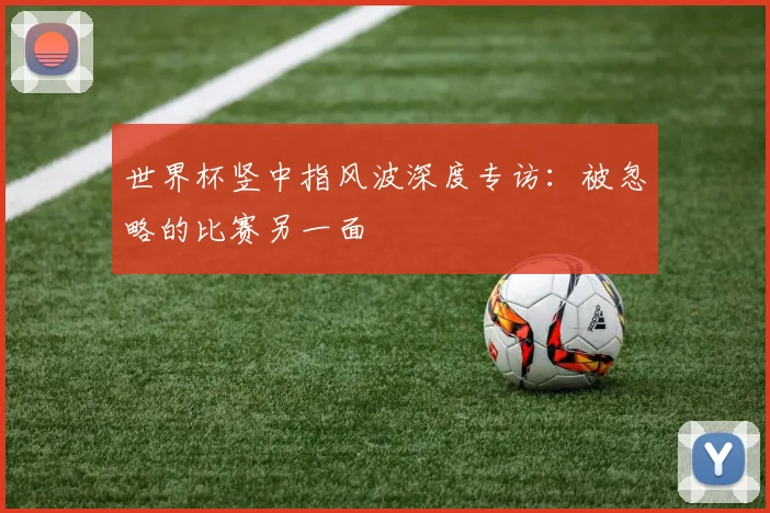 世界杯竖中指风波深度专访：被忽略的比赛另一面