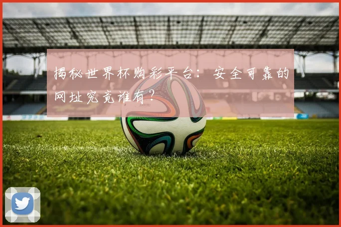 揭秘世界杯购彩平台：安全可靠的网址究竟谁有？