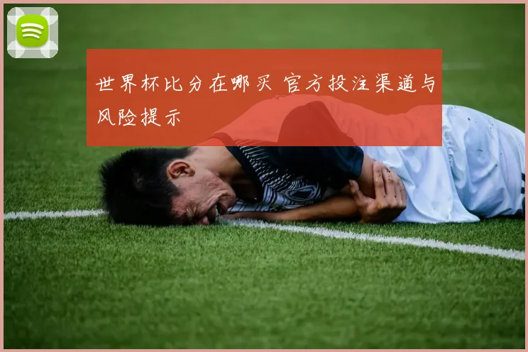 世界杯比分在哪买 官方投注渠道与风险提示