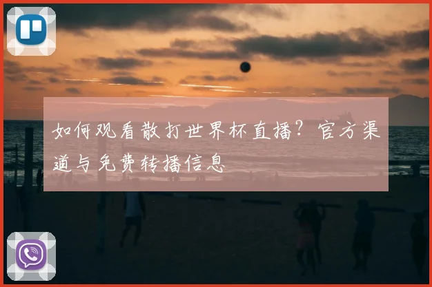 如何观看散打世界杯直播?官方渠道与免费转播信息