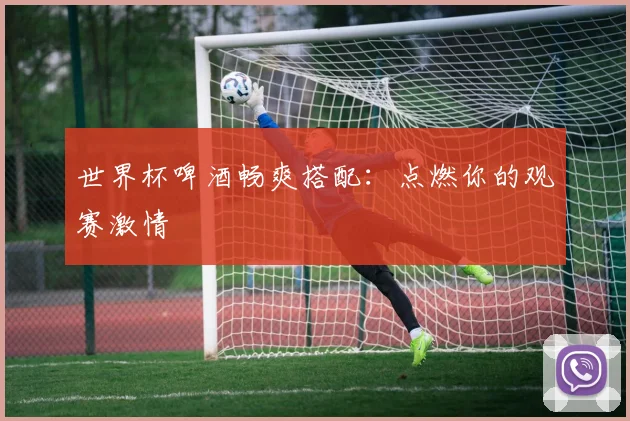 世界杯啤酒畅爽搭配:点燃你的观赛激情