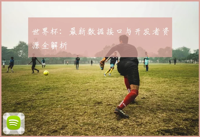 世界杯：最新数据接口与开发者资源全解析