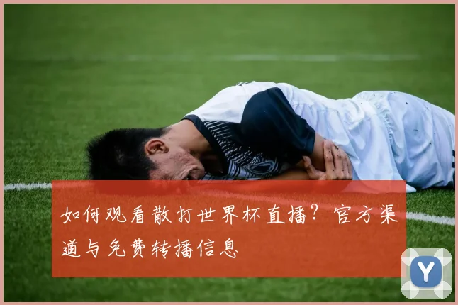 如何观看散打世界杯直播？官方渠道与免费转播信息