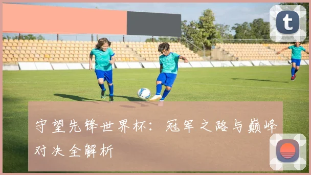 守望先锋世界杯：冠军之路与巅峰对决全解析