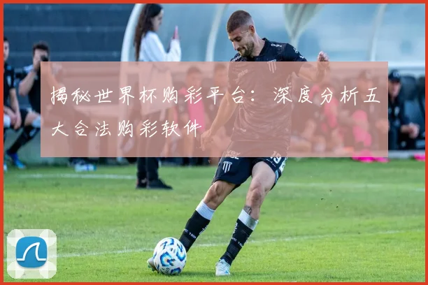 揭秘世界杯购彩平台：深度分析五大合法购彩软件