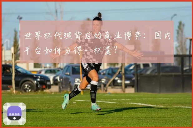 世界杯代理背后的商业博弈：国内平台如何分得一杯羹？