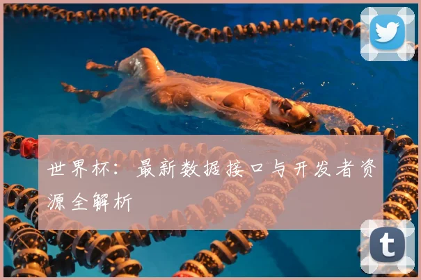 世界杯:最新数据接口与开发者资源全解析