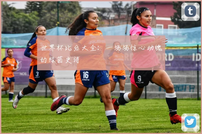 世界杯比分大全：一场场惊心动魄的绿茵史诗
